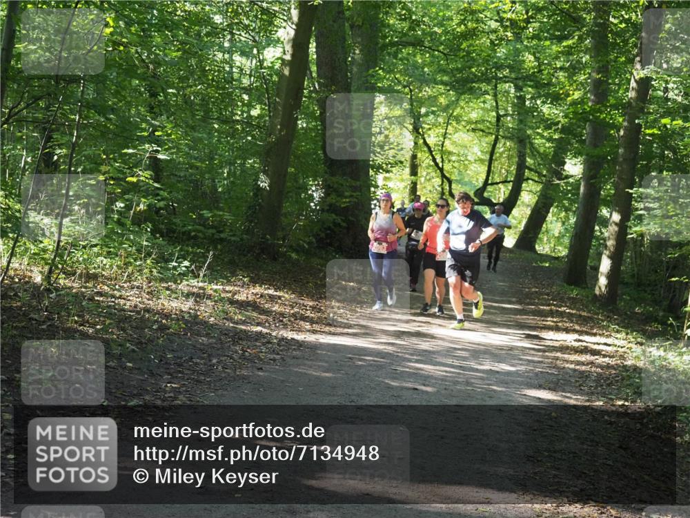 22.09.2024 - 32. Volkslauf durch das schöne Alstertal Miley Keyser http://msf.ph/oto/7134948 22.09.2024 10:51:28 Laufen 2083 meine-sportfotos.de