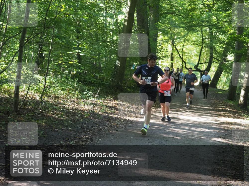 22.09.2024 - 32. Volkslauf durch das schöne Alstertal Miley Keyser http://msf.ph/oto/7134949 22.09.2024 10:51:30 Laufen 266, 2082 meine-sportfotos.de