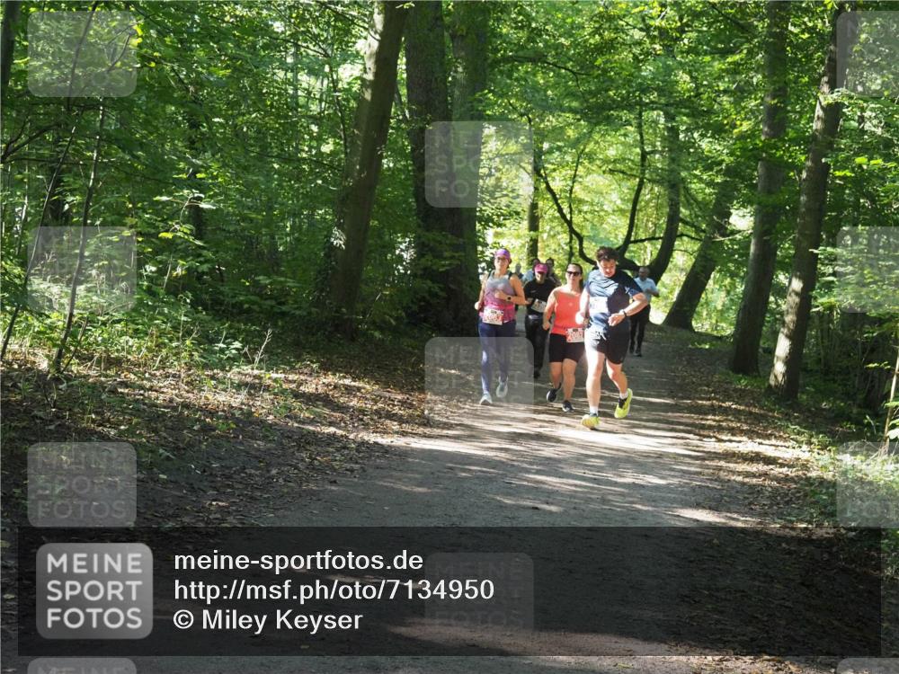 22.09.2024 - 32. Volkslauf durch das schöne Alstertal Miley Keyser http://msf.ph/oto/7134950 22.09.2024 10:51:28 Laufen 2083, 2082 meine-sportfotos.de