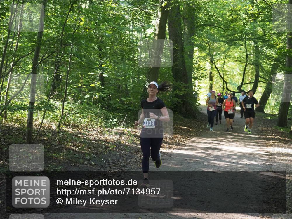 22.09.2024 - 32. Volkslauf durch das schöne Alstertal Miley Keyser http://msf.ph/oto/7134957 22.09.2024 10:51:26 Laufen 3333, 3266 meine-sportfotos.de