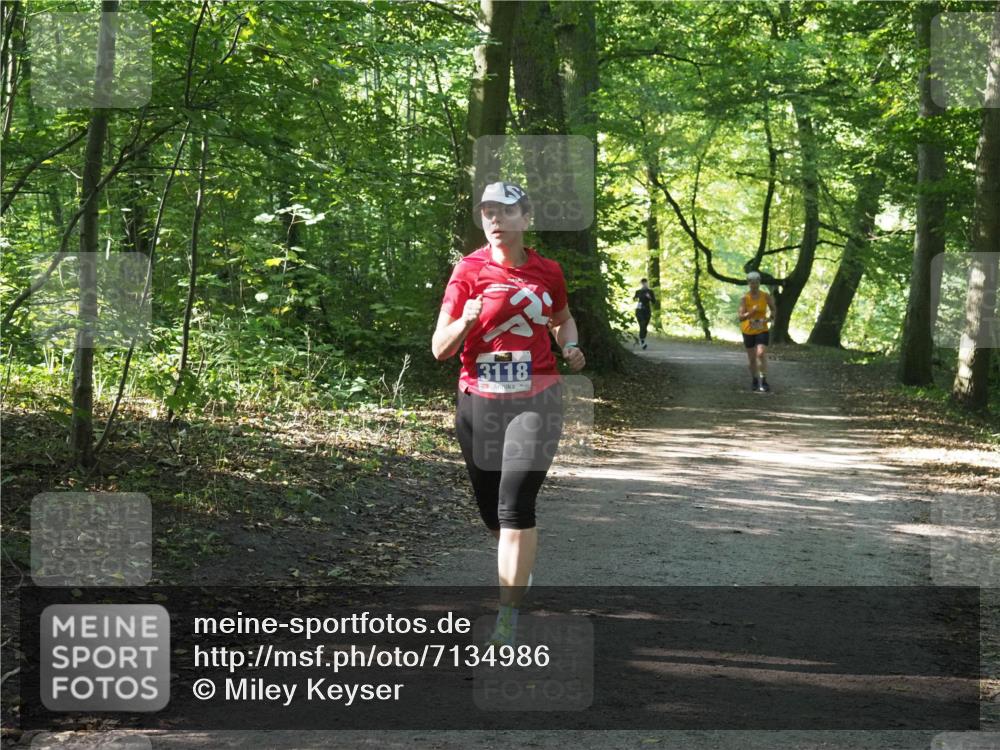 22.09.2024 - 32. Volkslauf durch das schöne Alstertal Miley Keyser http://msf.ph/oto/7134986 22.09.2024 10:51:07 Laufen 3118 meine-sportfotos.de