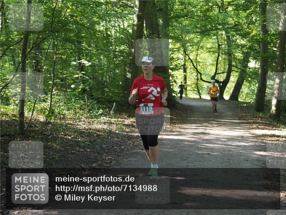 22.09.2024 - 32. Volkslauf durch das schöne Alstertal Miley Keyser http://msf.ph/oto/7134988 22.09.2024 10:51:07 Laufen 3118 meine-sportfotos.de