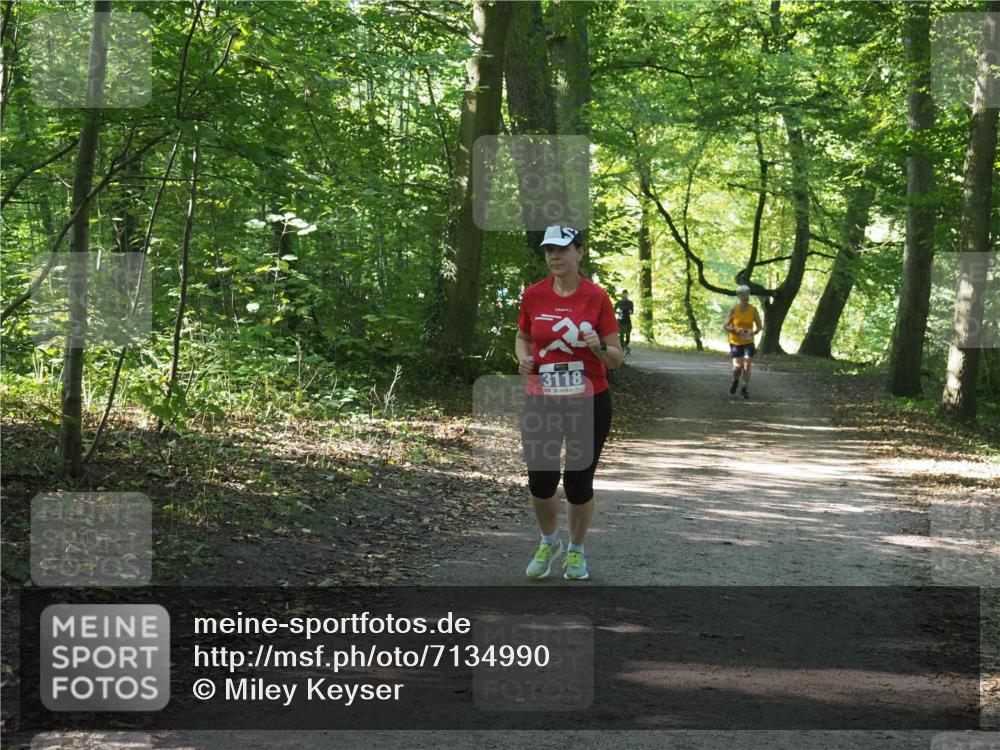 22.09.2024 - 32. Volkslauf durch das schöne Alstertal Miley Keyser http://msf.ph/oto/7134990 22.09.2024 10:51:07 Laufen 3118 meine-sportfotos.de