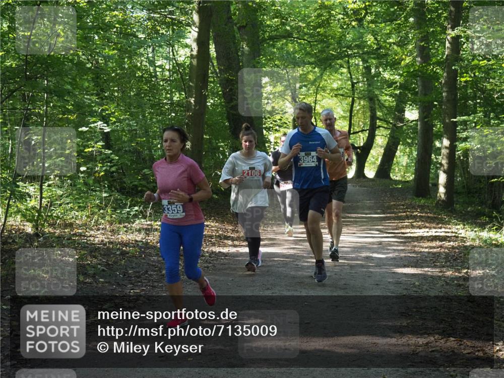 22.09.2024 - 32. Volkslauf durch das schöne Alstertal Miley Keyser http://msf.ph/oto/7135009 22.09.2024 10:50:59 Laufen 3359, 2106, 3964 meine-sportfotos.de