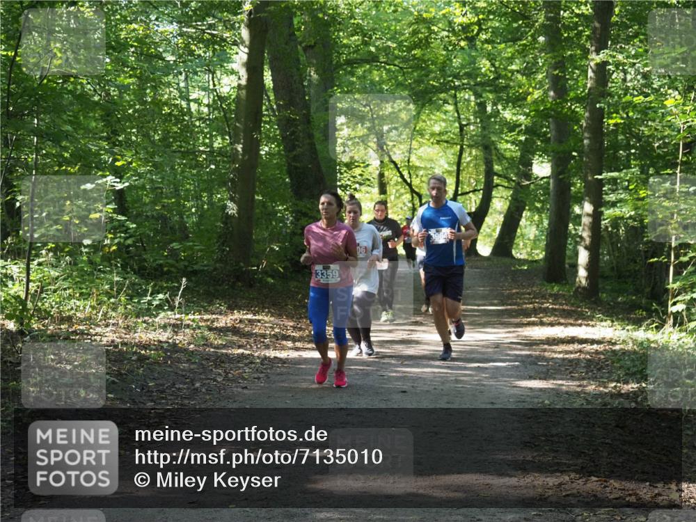 22.09.2024 - 32. Volkslauf durch das schöne Alstertal Miley Keyser http://msf.ph/oto/7135010 22.09.2024 10:50:58 Laufen 3359, 06 meine-sportfotos.de