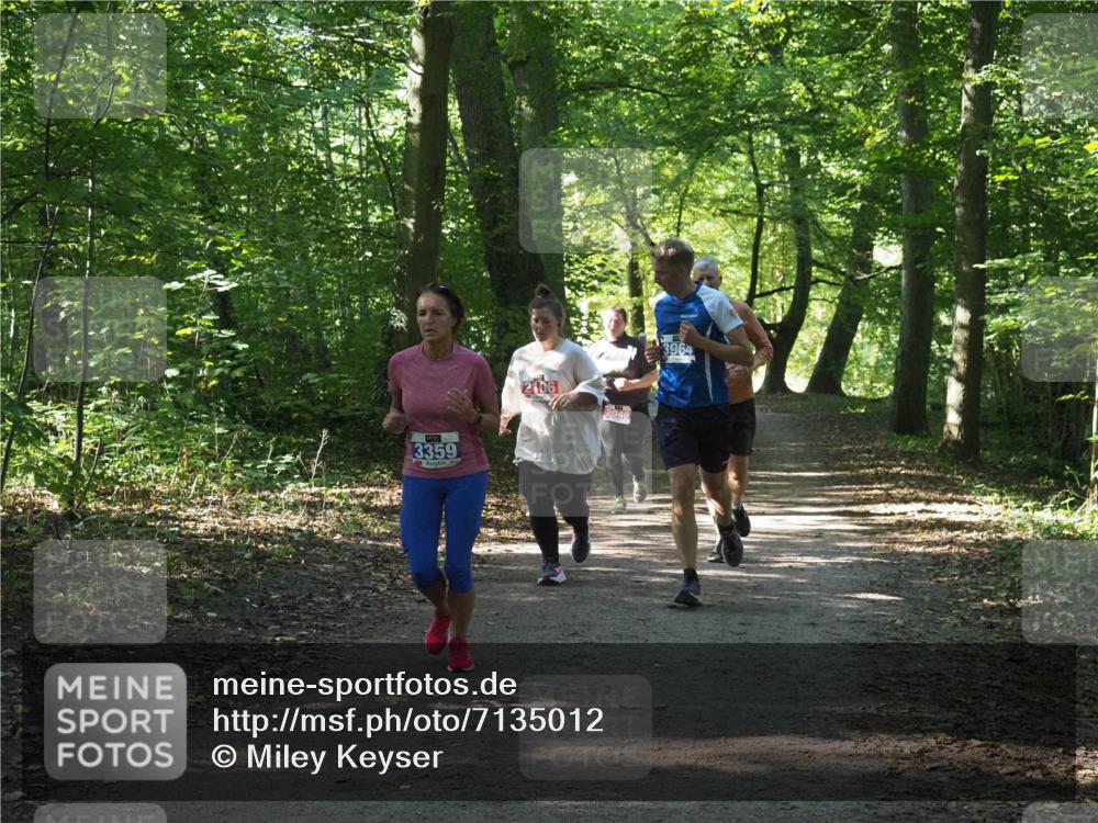 22.09.2024 - 32. Volkslauf durch das schöne Alstertal Miley Keyser http://msf.ph/oto/7135012 22.09.2024 10:50:59 Laufen 3359, 2046, 3964 meine-sportfotos.de