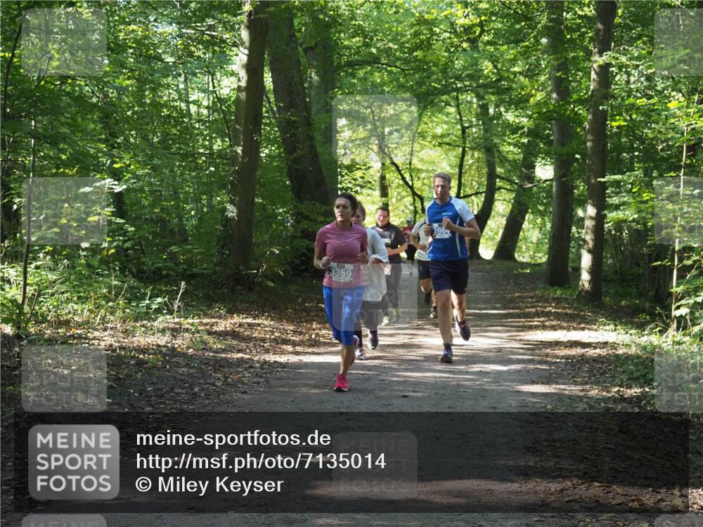 22.09.2024 - 32. Volkslauf durch das schöne Alstertal Miley Keyser http://msf.ph/oto/7135014 22.09.2024 10:50:58 Laufen 13359, 3964 meine-sportfotos.de
