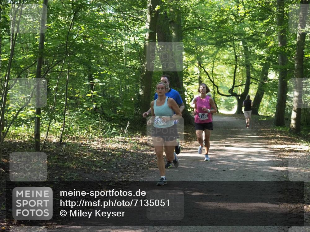 22.09.2024 - 32. Volkslauf durch das schöne Alstertal Miley Keyser http://msf.ph/oto/7135051 22.09.2024 10:50:38 Laufen 320, 3146 meine-sportfotos.de