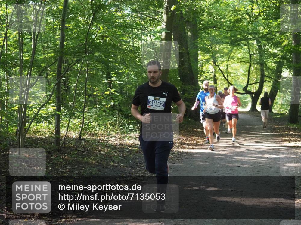 22.09.2024 - 32. Volkslauf durch das schöne Alstertal Miley Keyser http://msf.ph/oto/7135053 22.09.2024 10:50:37 Laufen 3962, 3200 meine-sportfotos.de