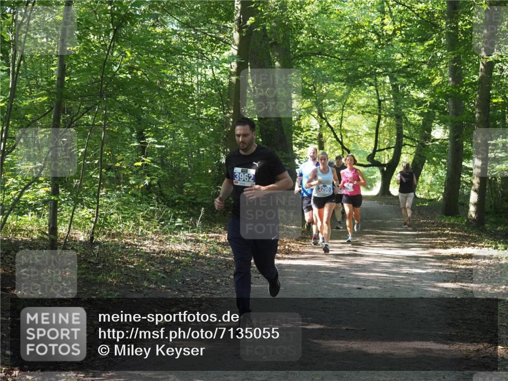 22.09.2024 - 32. Volkslauf durch das schöne Alstertal Miley Keyser http://msf.ph/oto/7135055 22.09.2024 10:50:37 Laufen 3962, 3200, 146 meine-sportfotos.de