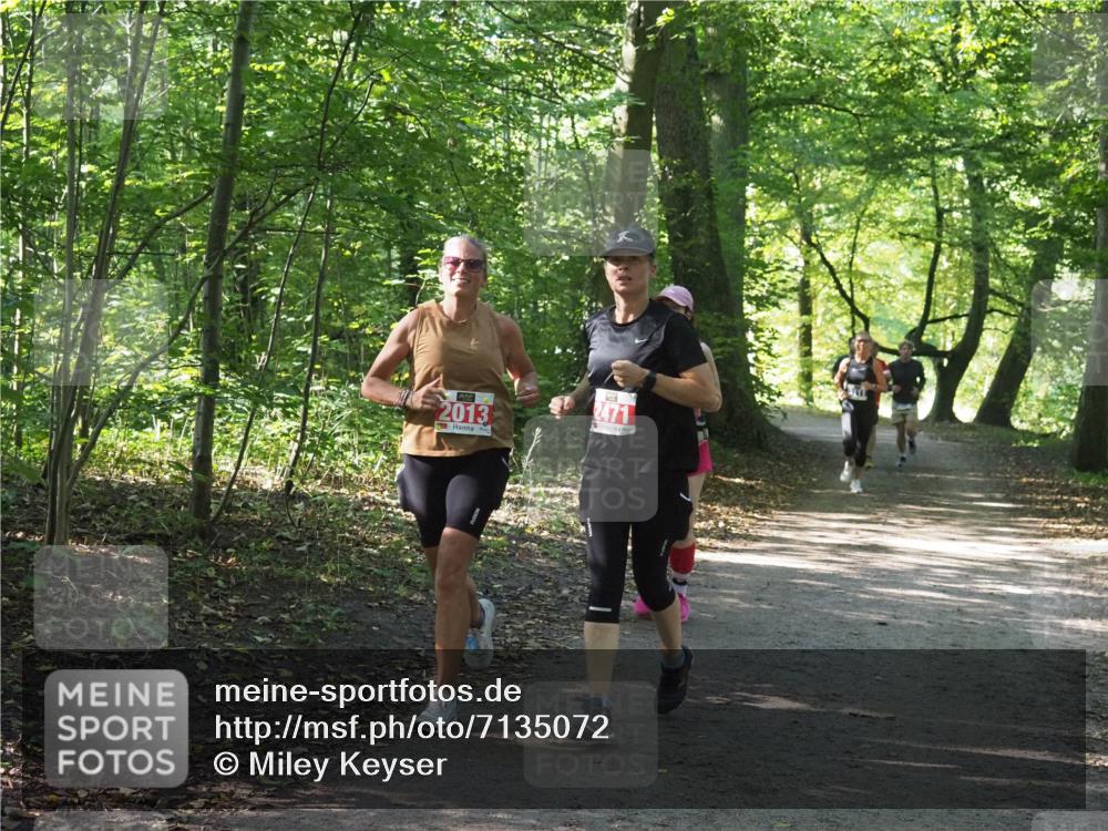 22.09.2024 - 32. Volkslauf durch das schöne Alstertal Miley Keyser http://msf.ph/oto/7135072 22.09.2024 10:50:22 Laufen 2013, 2471 meine-sportfotos.de