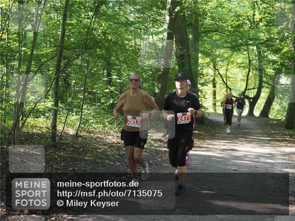 22.09.2024 - 32. Volkslauf durch das schöne Alstertal Miley Keyser http://msf.ph/oto/7135075 22.09.2024 10:50:22 Laufen 2013, 2471 meine-sportfotos.de