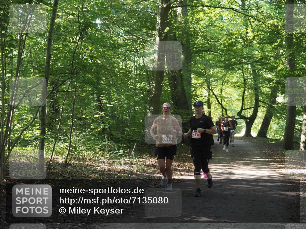 22.09.2024 - 32. Volkslauf durch das schöne Alstertal Miley Keyser http://msf.ph/oto/7135080 22.09.2024 10:50:21 Laufen 2013, 2471 meine-sportfotos.de