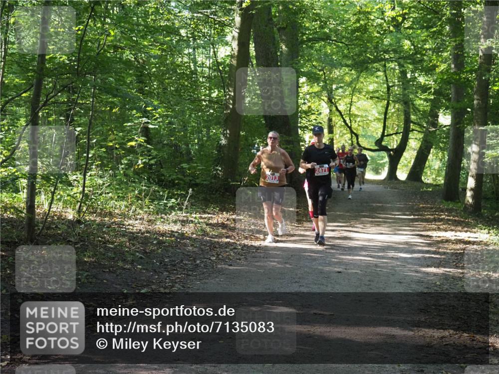 22.09.2024 - 32. Volkslauf durch das schöne Alstertal Miley Keyser http://msf.ph/oto/7135083 22.09.2024 10:50:19 Laufen 2013, 2471 meine-sportfotos.de
