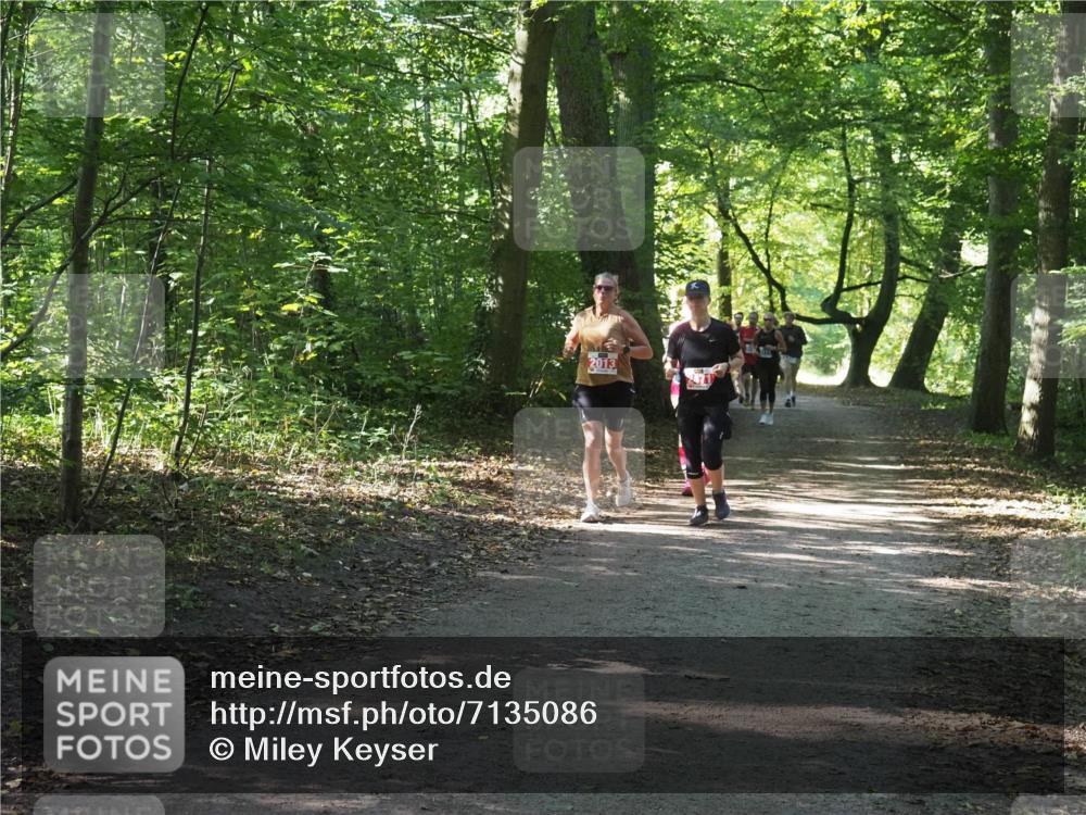 22.09.2024 - 32. Volkslauf durch das schöne Alstertal Miley Keyser http://msf.ph/oto/7135086 22.09.2024 10:50:19 Laufen 2013 meine-sportfotos.de
