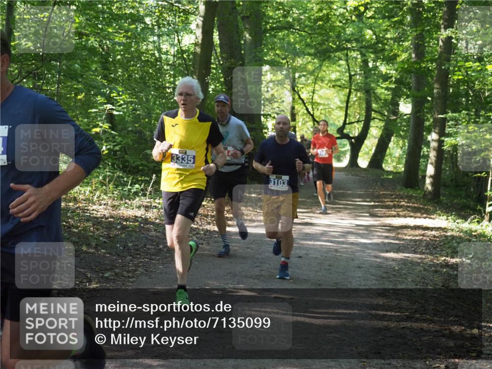 22.09.2024 - 32. Volkslauf durch das schöne Alstertal Miley Keyser http://msf.ph/oto/7135099 22.09.2024 10:50:13 Laufen 3335, 3103 meine-sportfotos.de