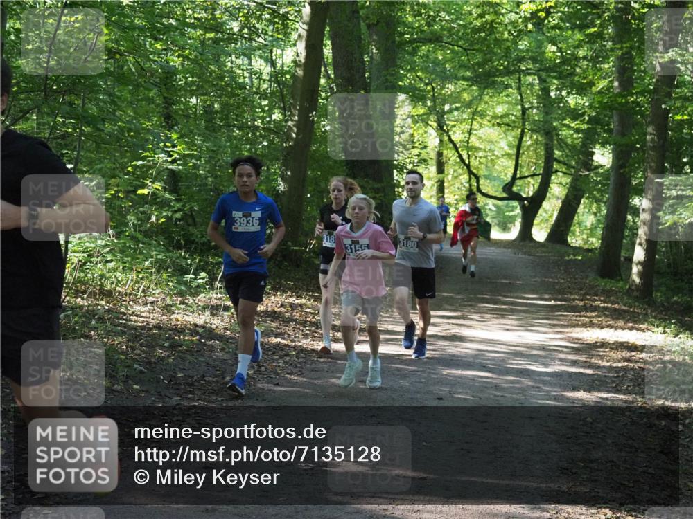 22.09.2024 - 32. Volkslauf durch das schöne Alstertal Miley Keyser http://msf.ph/oto/7135128 22.09.2024 10:49:55 Laufen 3936, 318, 3180, 3155 meine-sportfotos.de