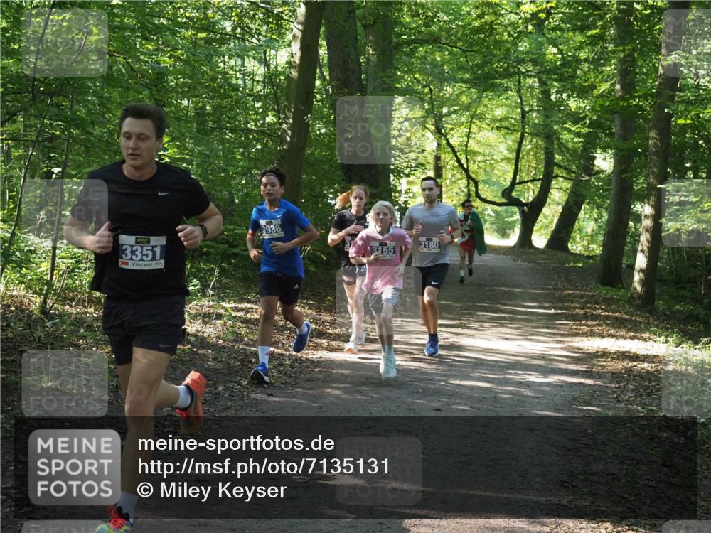 22.09.2024 - 32. Volkslauf durch das schöne Alstertal Miley Keyser http://msf.ph/oto/7135131 22.09.2024 10:49:55 Laufen 3351, 3936, 3180, 3155 meine-sportfotos.de