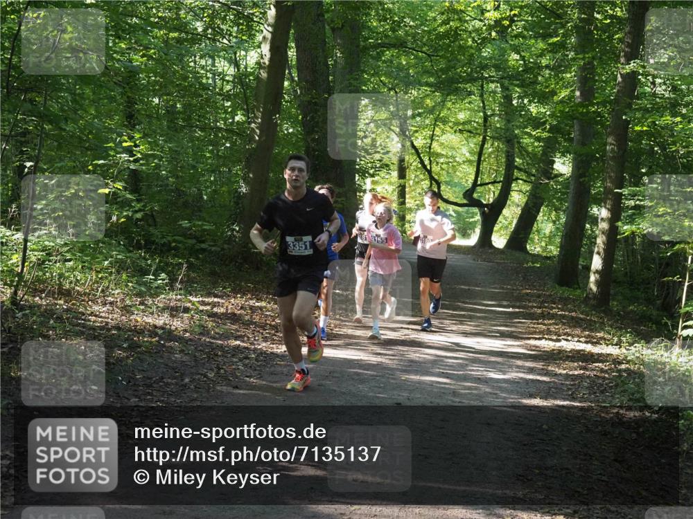22.09.2024 - 32. Volkslauf durch das schöne Alstertal Miley Keyser http://msf.ph/oto/7135137 22.09.2024 10:49:54 Laufen 3351, 181, 3155 meine-sportfotos.de
