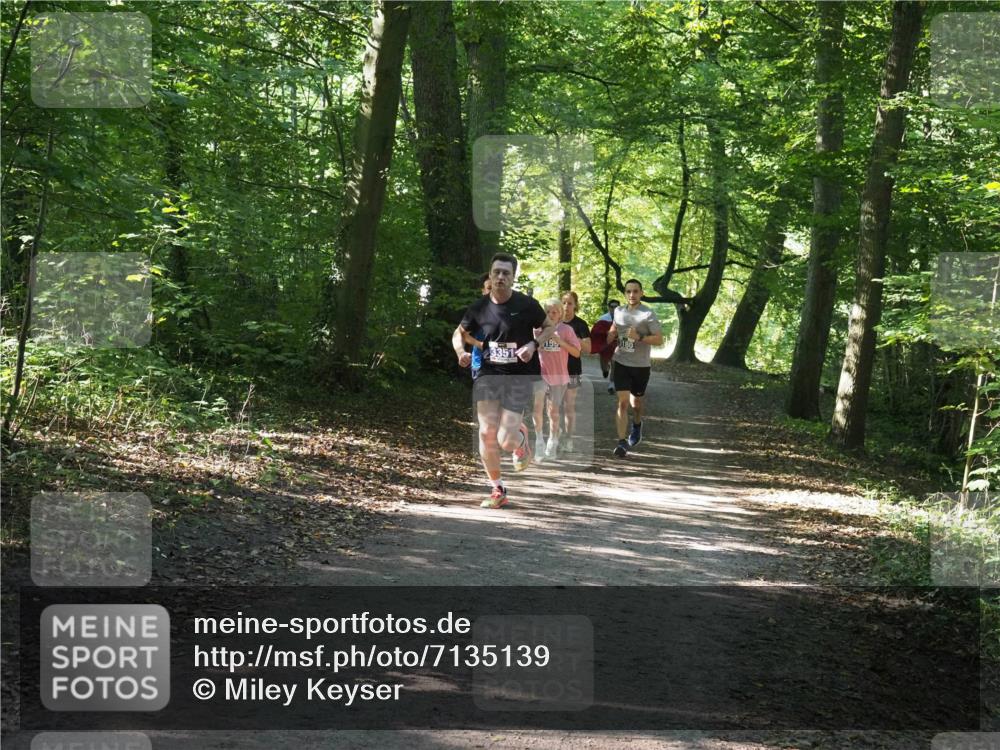 22.09.2024 - 32. Volkslauf durch das schöne Alstertal Miley Keyser http://msf.ph/oto/7135139 22.09.2024 10:49:53 Laufen 3351, 180, 155 meine-sportfotos.de