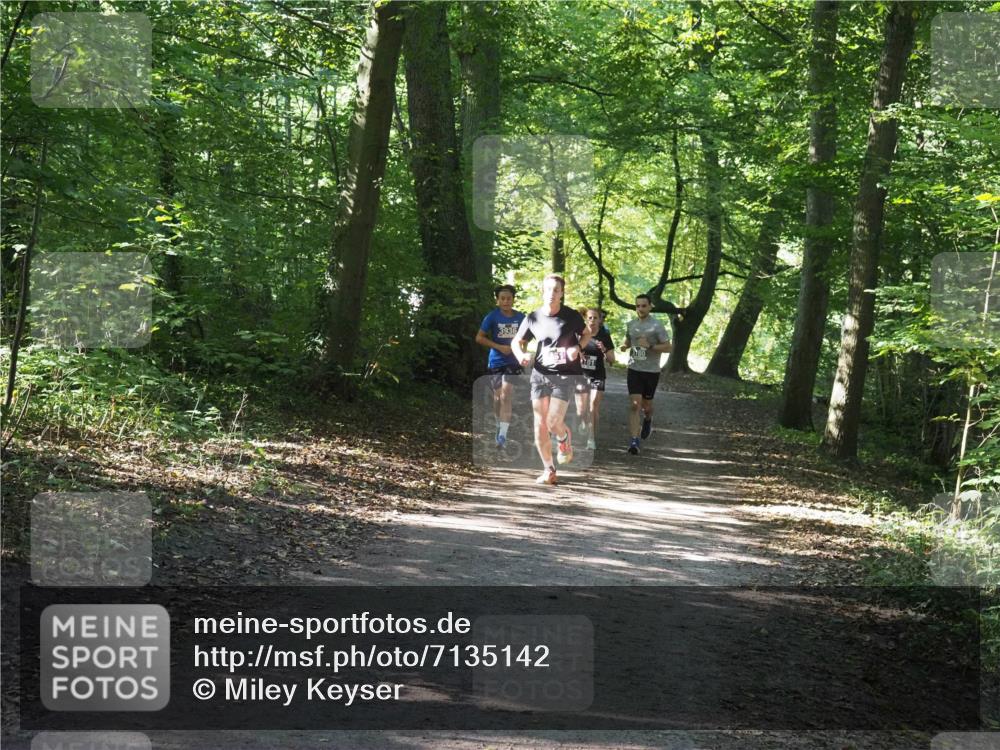 22.09.2024 - 32. Volkslauf durch das schöne Alstertal Miley Keyser http://msf.ph/oto/7135142 22.09.2024 10:49:52 Laufen 3936 meine-sportfotos.de