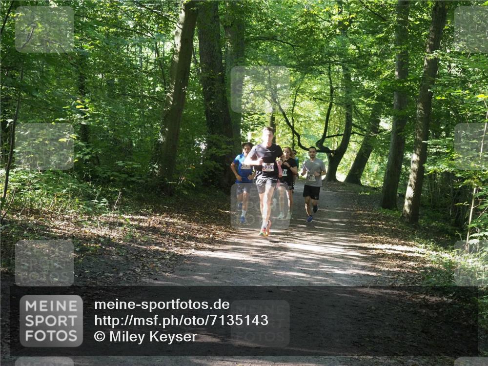 22.09.2024 - 32. Volkslauf durch das schöne Alstertal Miley Keyser http://msf.ph/oto/7135143 22.09.2024 10:49:52 Laufen  meine-sportfotos.de