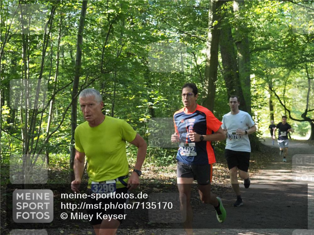 22.09.2024 - 32. Volkslauf durch das schöne Alstertal Miley Keyser http://msf.ph/oto/7135170 22.09.2024 10:49:32 Laufen 3296, 3402, 3076 meine-sportfotos.de