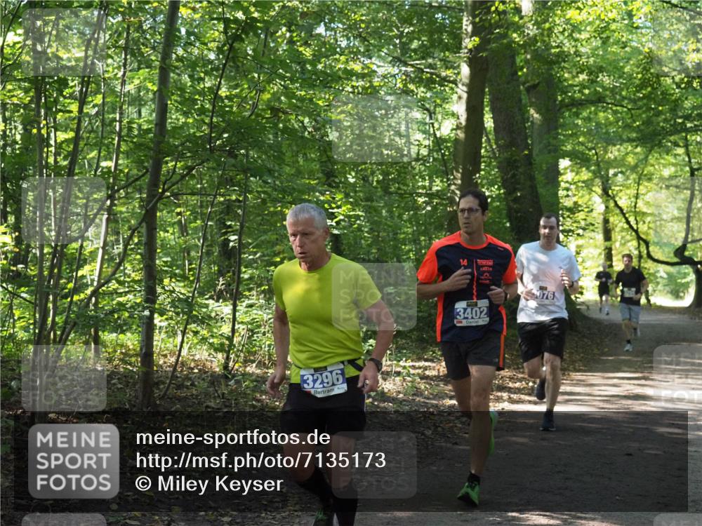 22.09.2024 - 32. Volkslauf durch das schöne Alstertal Miley Keyser http://msf.ph/oto/7135173 22.09.2024 10:49:32 Laufen 3296, 14, 3402, 076 meine-sportfotos.de