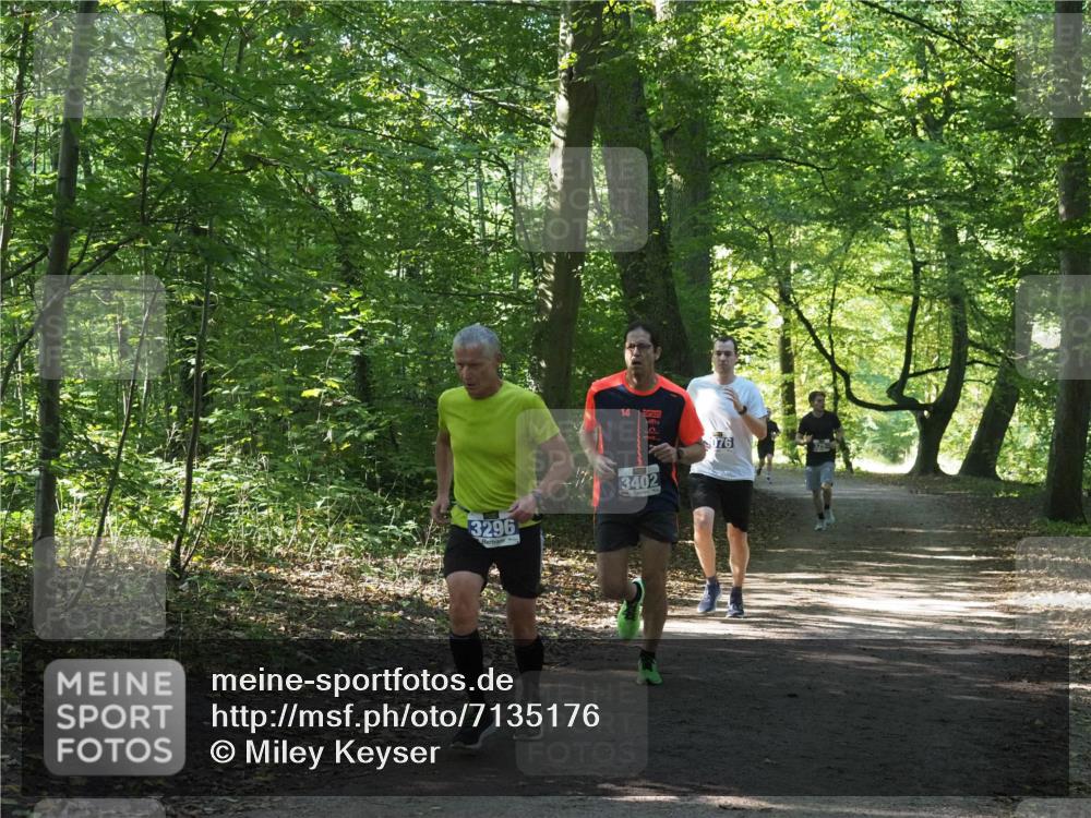 22.09.2024 - 32. Volkslauf durch das schöne Alstertal Miley Keyser http://msf.ph/oto/7135176 22.09.2024 10:49:31 Laufen 14, 076, 3296, 3402 meine-sportfotos.de