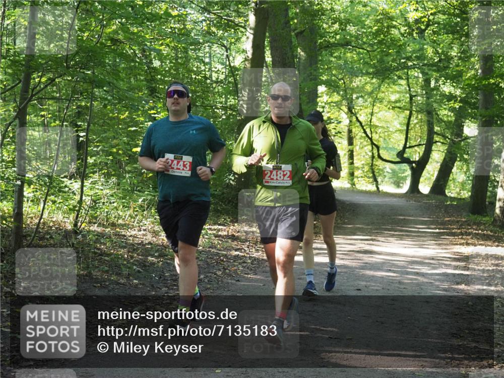22.09.2024 - 32. Volkslauf durch das schöne Alstertal Miley Keyser http://msf.ph/oto/7135183 22.09.2024 10:49:15 Laufen 2443, 2482 meine-sportfotos.de