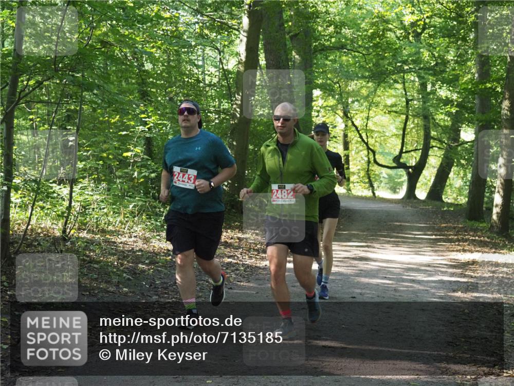 22.09.2024 - 32. Volkslauf durch das schöne Alstertal Miley Keyser http://msf.ph/oto/7135185 22.09.2024 10:49:15 Laufen 2443, 2482 meine-sportfotos.de