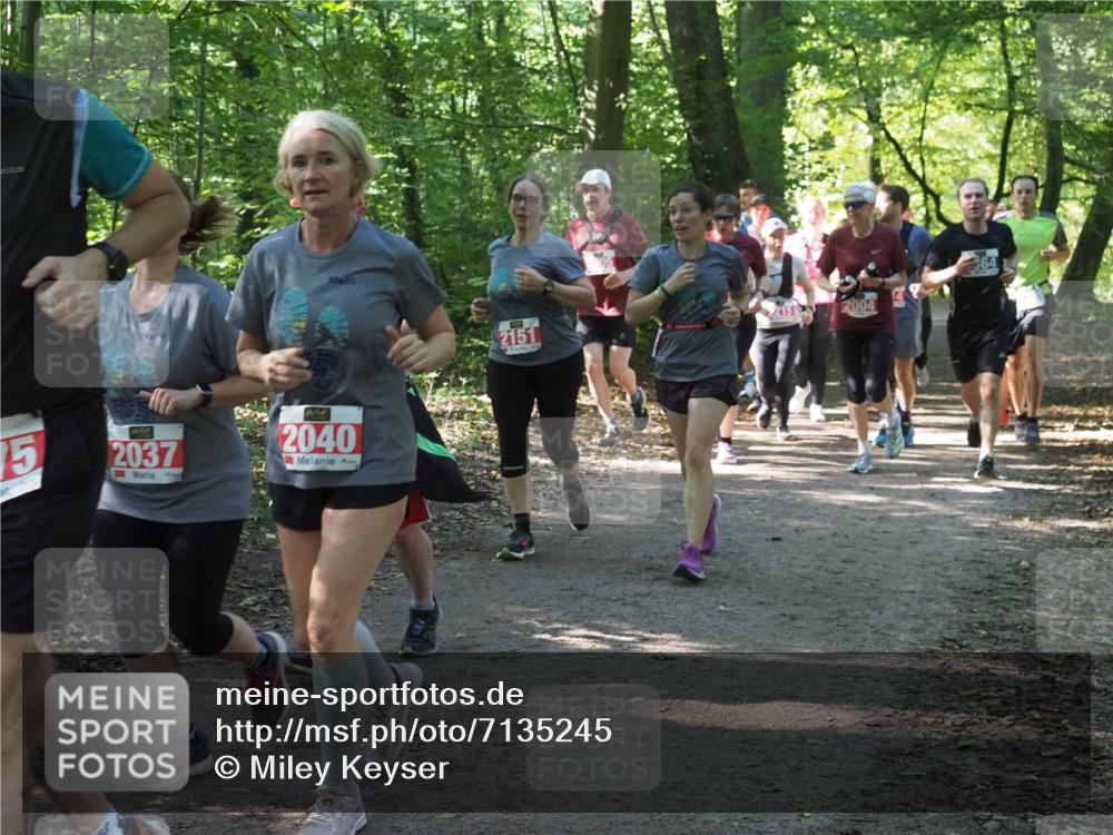 22.09.2024 - 32. Volkslauf durch das schöne Alstertal Miley Keyser http://msf.ph/oto/7135245 22.09.2024 10:48:55 Laufen 15, 2037, 2040, 2151, 215, 2004 meine-sportfotos.de