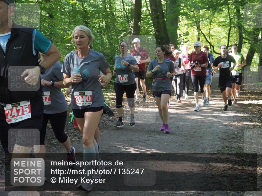 22.09.2024 - 32. Volkslauf durch das schöne Alstertal Miley Keyser http://msf.ph/oto/7135247 22.09.2024 10:48:55 Laufen 2475, 37, 2040, 2151, 2004 meine-sportfotos.de