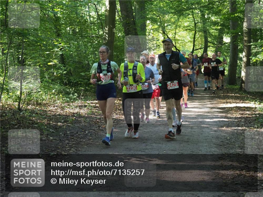 22.09.2024 - 32. Volkslauf durch das schöne Alstertal Miley Keyser http://msf.ph/oto/7135257 22.09.2024 10:48:53 Laufen 2502, 2230, 037, 001, 2475 meine-sportfotos.de