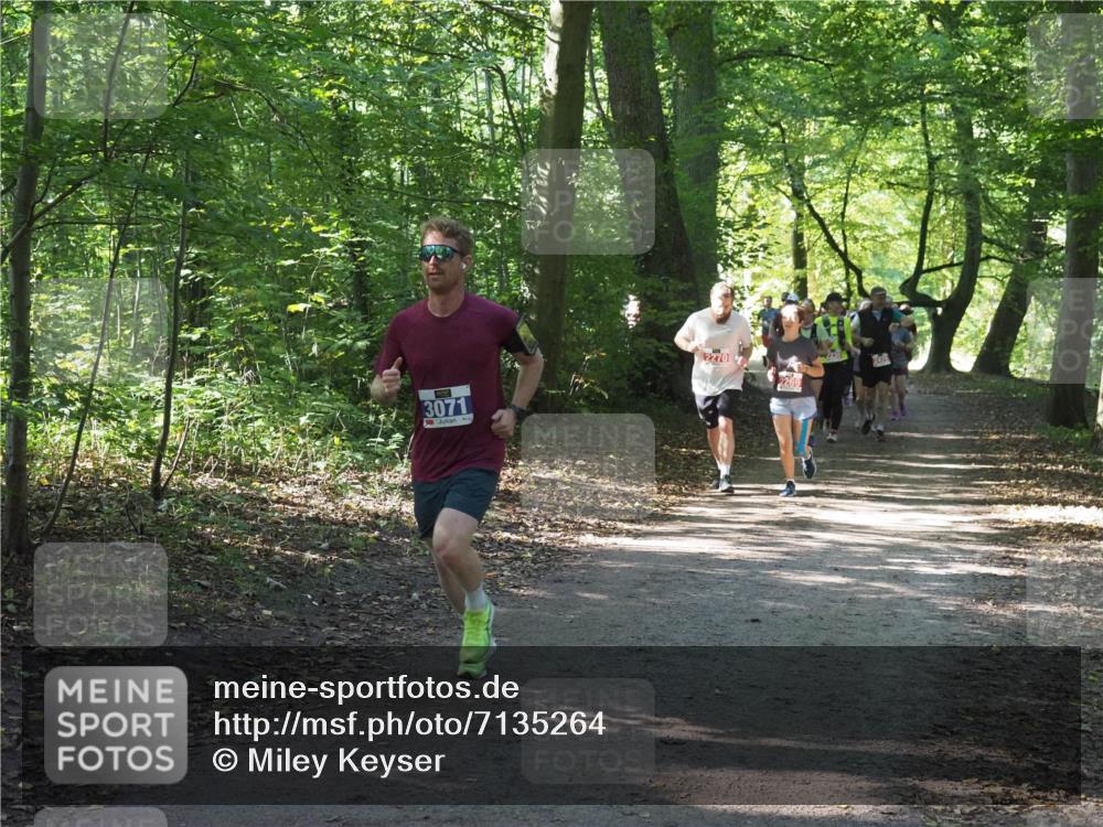 22.09.2024 - 32. Volkslauf durch das schöne Alstertal Miley Keyser http://msf.ph/oto/7135264 22.09.2024 10:48:47 Laufen 3071, 2270 meine-sportfotos.de