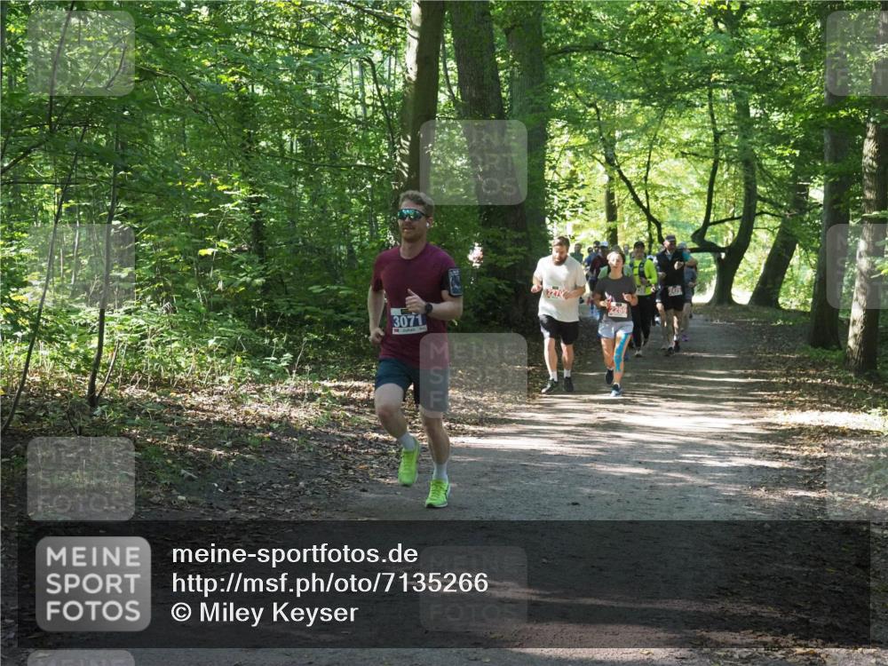 22.09.2024 - 32. Volkslauf durch das schöne Alstertal Miley Keyser http://msf.ph/oto/7135266 22.09.2024 10:48:46 Laufen 3071 meine-sportfotos.de
