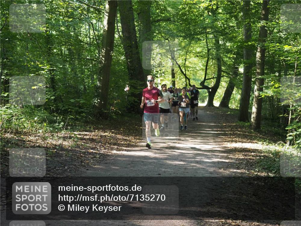 22.09.2024 - 32. Volkslauf durch das schöne Alstertal Miley Keyser http://msf.ph/oto/7135270 22.09.2024 10:48:45 Laufen 307 meine-sportfotos.de