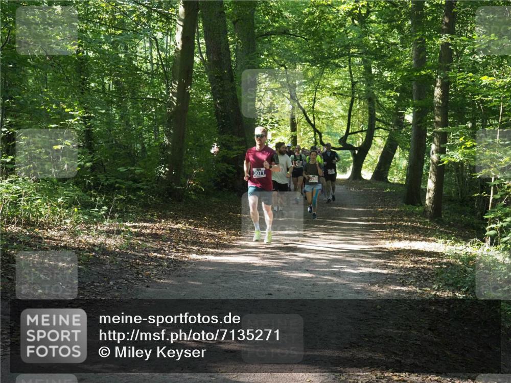 22.09.2024 - 32. Volkslauf durch das schöne Alstertal Miley Keyser http://msf.ph/oto/7135271 22.09.2024 10:48:45 Laufen 3071, 0 meine-sportfotos.de