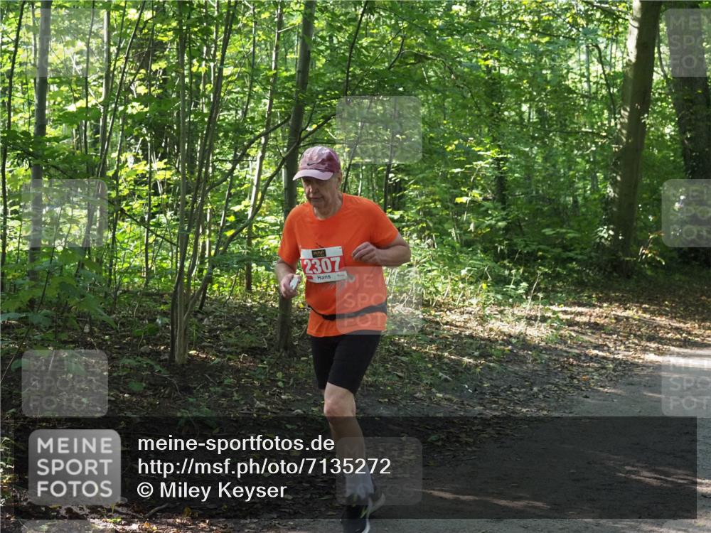 22.09.2024 - 32. Volkslauf durch das schöne Alstertal Miley Keyser http://msf.ph/oto/7135272 22.09.2024 10:48:39 Laufen 2307 meine-sportfotos.de