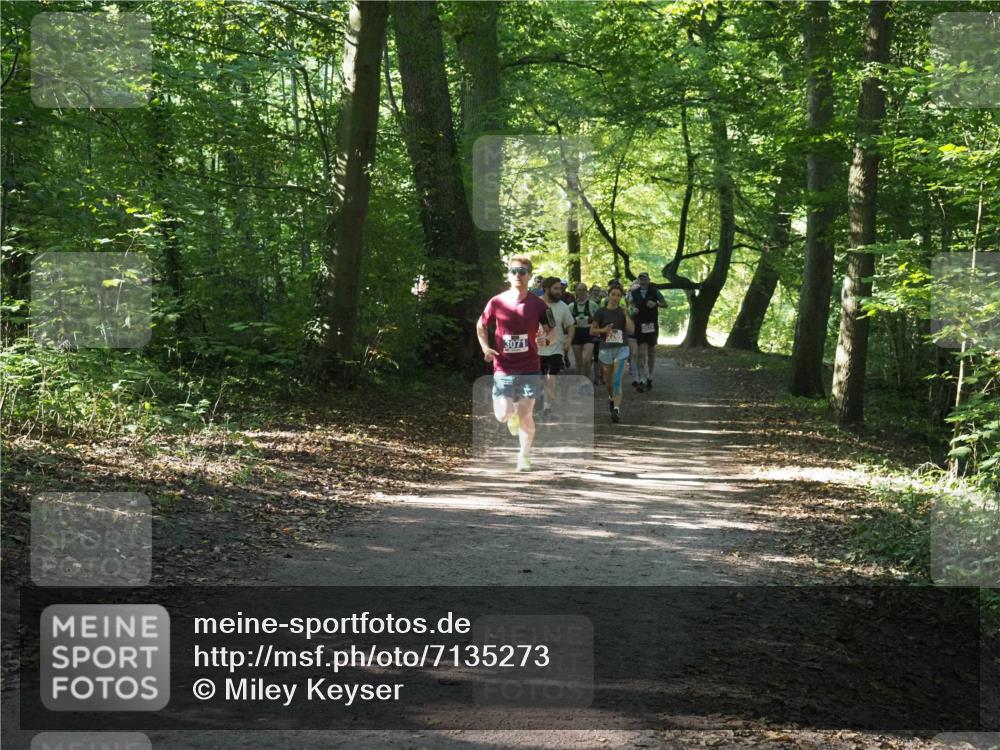 22.09.2024 - 32. Volkslauf durch das schöne Alstertal Miley Keyser http://msf.ph/oto/7135273 22.09.2024 10:48:45 Laufen 3071 meine-sportfotos.de