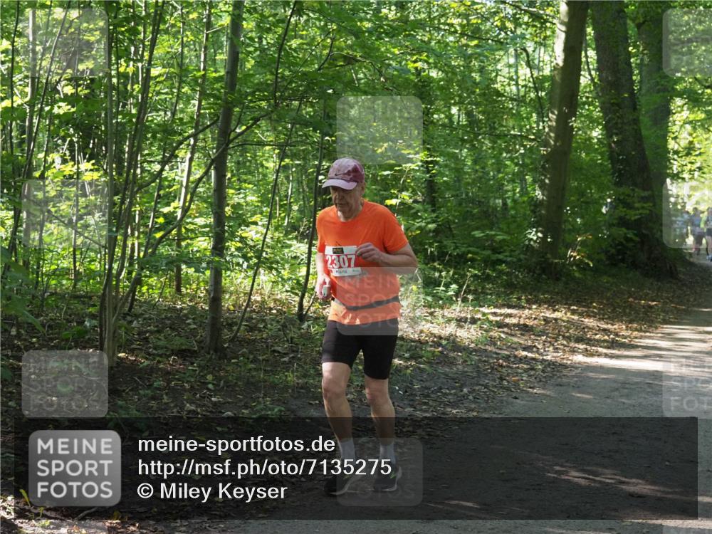 22.09.2024 - 32. Volkslauf durch das schöne Alstertal Miley Keyser http://msf.ph/oto/7135275 22.09.2024 10:48:38 Laufen 2307 meine-sportfotos.de