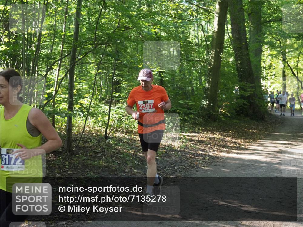 22.09.2024 - 32. Volkslauf durch das schöne Alstertal Miley Keyser http://msf.ph/oto/7135278 22.09.2024 10:48:38 Laufen 3172, 2307 meine-sportfotos.de