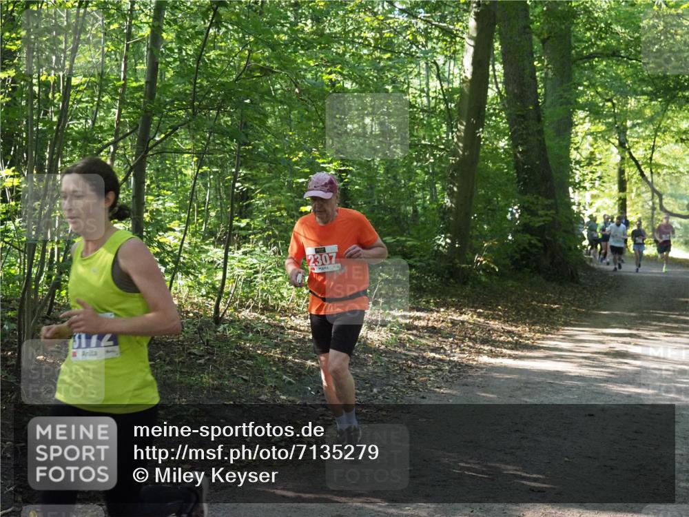 22.09.2024 - 32. Volkslauf durch das schöne Alstertal Miley Keyser http://msf.ph/oto/7135279 22.09.2024 10:48:38 Laufen 3174, 2307 meine-sportfotos.de