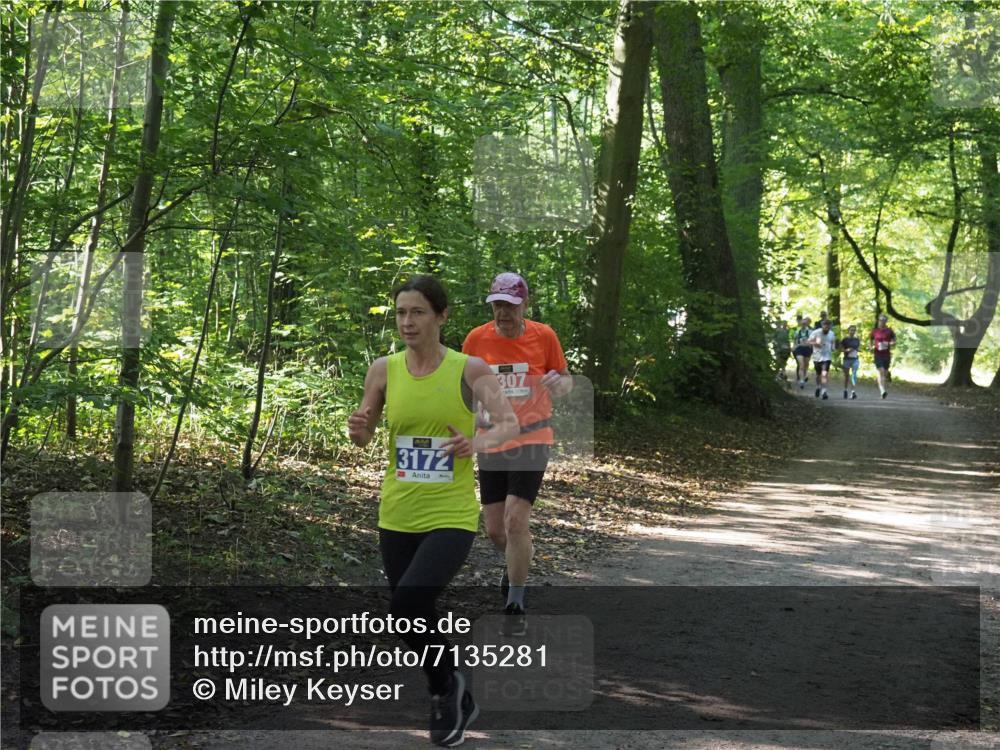 22.09.2024 - 32. Volkslauf durch das schöne Alstertal Miley Keyser http://msf.ph/oto/7135281 22.09.2024 10:48:37 Laufen 3172, 307 meine-sportfotos.de