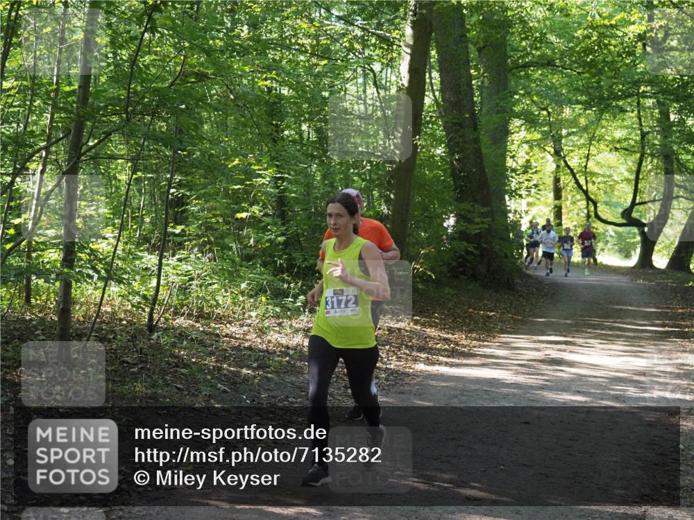 22.09.2024 - 32. Volkslauf durch das schöne Alstertal Miley Keyser http://msf.ph/oto/7135282 22.09.2024 10:48:37 Laufen 3172 meine-sportfotos.de