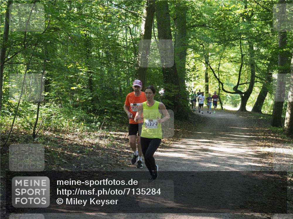 22.09.2024 - 32. Volkslauf durch das schöne Alstertal Miley Keyser http://msf.ph/oto/7135284 22.09.2024 10:48:37 Laufen 230, 3172 meine-sportfotos.de