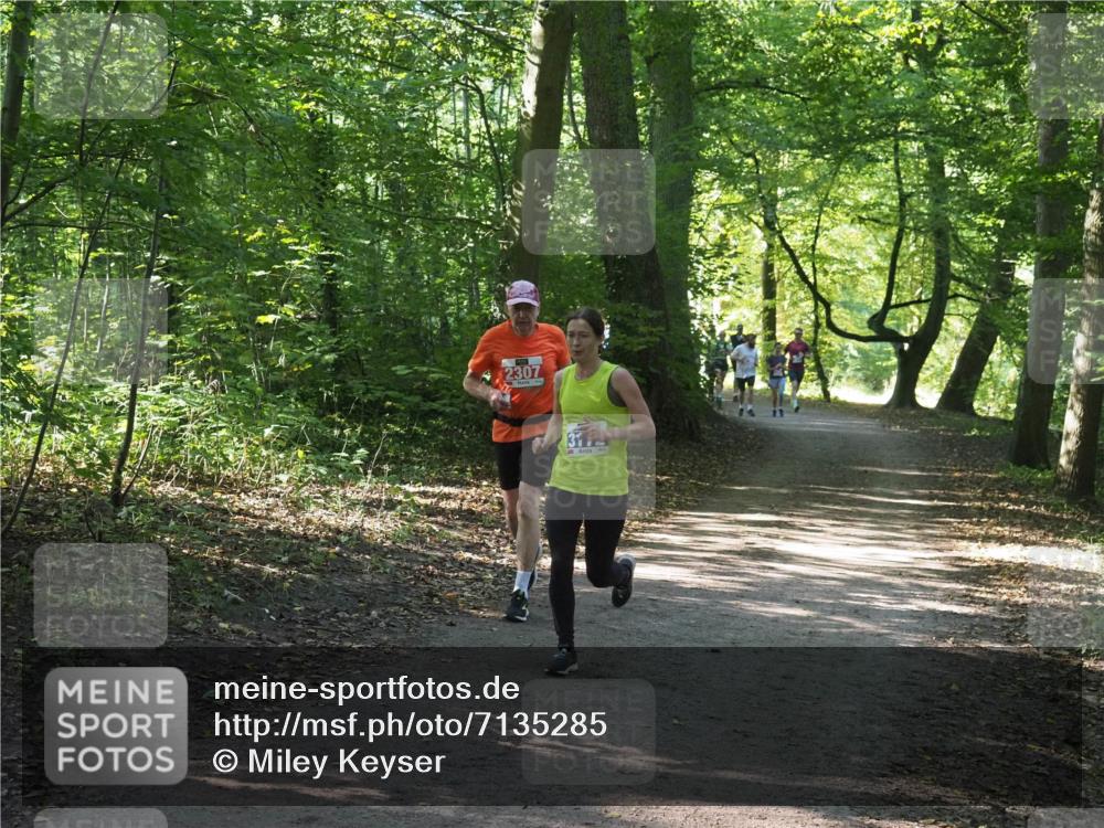 22.09.2024 - 32. Volkslauf durch das schöne Alstertal Miley Keyser http://msf.ph/oto/7135285 22.09.2024 10:48:37 Laufen 2307 meine-sportfotos.de