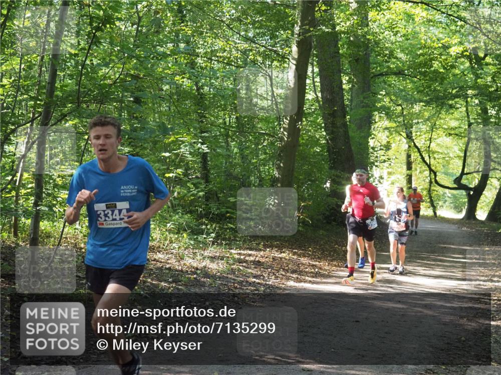 22.09.2024 - 32. Volkslauf durch das schöne Alstertal Miley Keyser http://msf.ph/oto/7135299 22.09.2024 10:48:28 Laufen 3344 meine-sportfotos.de