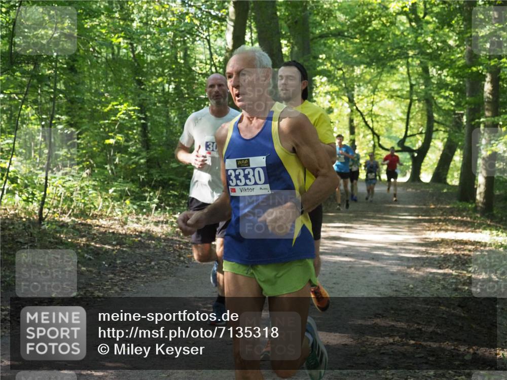 22.09.2024 - 32. Volkslauf durch das schöne Alstertal Miley Keyser http://msf.ph/oto/7135318 22.09.2024 10:48:23 Laufen 30, 3330 meine-sportfotos.de