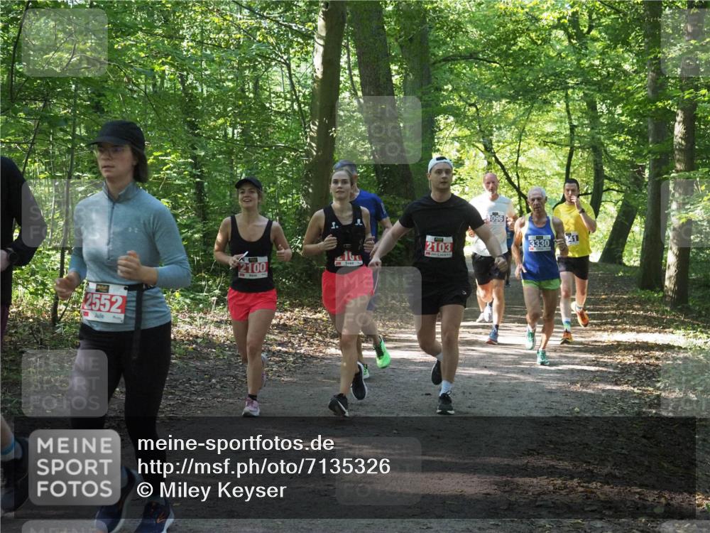 22.09.2024 - 32. Volkslauf durch das schöne Alstertal Miley Keyser http://msf.ph/oto/7135326 22.09.2024 10:48:21 Laufen 2552, 2100, 2103, 3096, 3411, 3330 meine-sportfotos.de